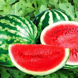 🍉 Tarvuz — 2 500 so‘m / kg