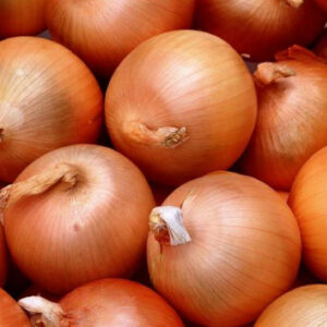 Piyoz 🧅